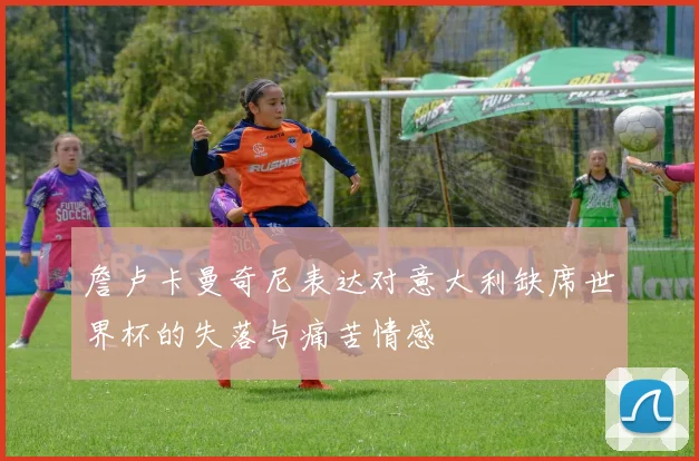 詹卢卡曼奇尼表达对意大利缺席世界杯的失落与痛苦情感